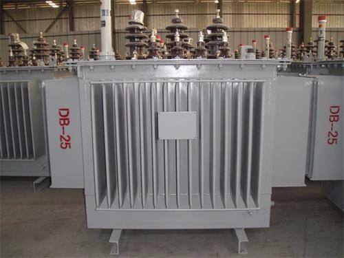 巴彦淖尔S13-100KVA/10KV/0.4KV油浸式变压器